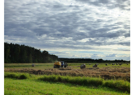 Działka na sprzedaż - Gornica, Trzcianka, Czarnkowsko-Trzcianecki, 141 800 m², 425 400 PLN, NET-54400868