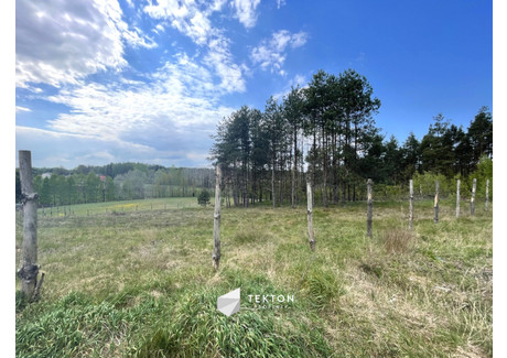 Działka na sprzedaż - Kłosowo, Przodkowo, Kartuski, 3168 m², 270 000 PLN, NET-TC678135