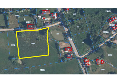 Działka na sprzedaż - Kozłowo, Sorkwity, Mrągowski, 3700 m², 109 000 PLN, NET-2197