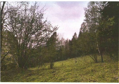 Działka na sprzedaż - Zawoja, Zawoja (gm.), Suski (pow.), 2053 m², 5454 PLN, NET-TTT-00000284