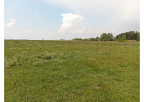 Działka na sprzedaż - Pisarzowice, Kobyla Góra (Gm.), Ostrzeszowski (Pow.), 1200 m², 102 000 PLN, NET-TTT-00000527