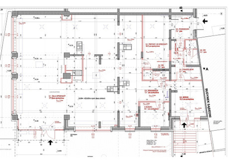 Lokal do wynajęcia - Śródmieście-Centrum, Szczecin, 253 m², 12 500 PLN, NET-18/5455/OLW