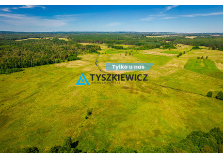 Działka na sprzedaż - Poborowo, Trzebielino, Bytowski, 9200 m², 42 000 PLN, NET-TY223775