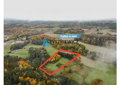 Działka na sprzedaż - Tłuczewo, Linia, Wejherowski, 13 493 m², 399 000 PLN, NET-TY712016