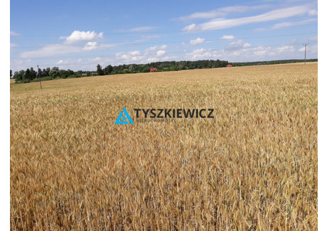 Działka na sprzedaż - Koniecwałd, Sztum, Sztumski, 105 064 m², 5 780 000 PLN, NET-TY222339