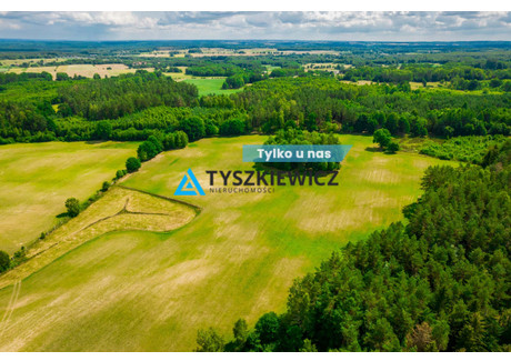 Działka na sprzedaż - Olszewiec, Miastko, Bytowski, 79 336 m², 360 000 PLN, NET-TY557770