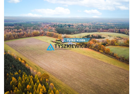 Działka na sprzedaż - Szczenurze, Wicko, Lęborski, 3428 m², 275 000 PLN, NET-TY745964