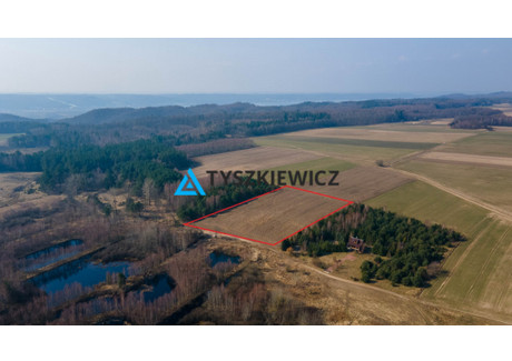 Działka na sprzedaż - Polna Krokowa, Pucki, 10 724 m², 420 000 PLN, NET-TY268209