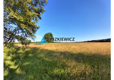 Działka na sprzedaż - Słajszewo, Choczewo, Wejherowski, 3000 m², 750 000 PLN, NET-TY690376