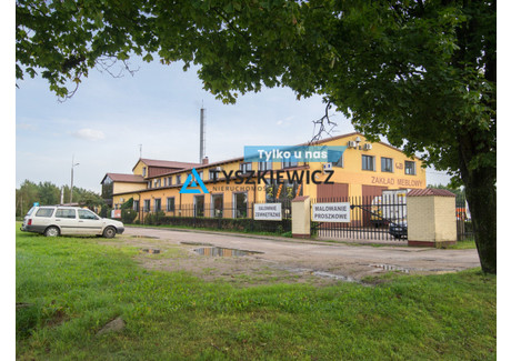 Fabryka, zakład na sprzedaż - Drogowców Kościerzyna, Kościerski, 2500 m², 3 100 000 PLN, NET-TY376275