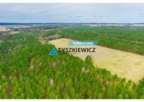 Działka na sprzedaż - Zielin, Trzebielino, Bytowski, 34 300 m², 200 000 PLN, NET-TY652365