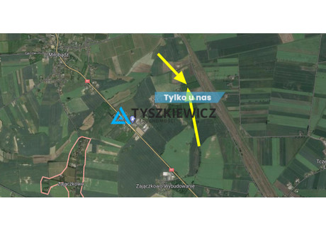 Działka na sprzedaż - Zajączkowo, Tczew, Tczewski, 21 740 m², 1 739 200 PLN, NET-TY637782