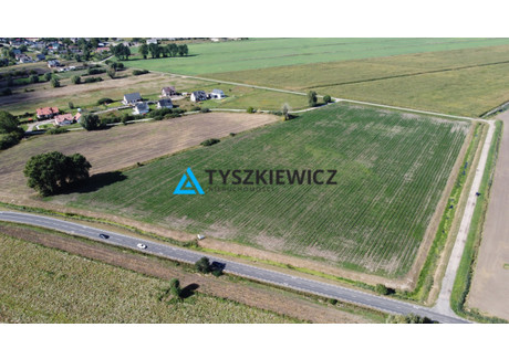 Działka na sprzedaż - Ogrodowa Rokitnica, Pruszcz Gdański, Gdański, 3270 m², 245 250 PLN, NET-TY119374