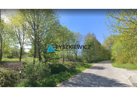 Działka na sprzedaż - Ciekocino, Choczewo, Wejherowski, 6066 m², 630 000 PLN, NET-TY802633