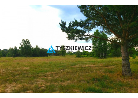 Działka na sprzedaż - Białogóra, Krokowa, Pucki, 3581 m², 952 000 PLN, NET-TY501665