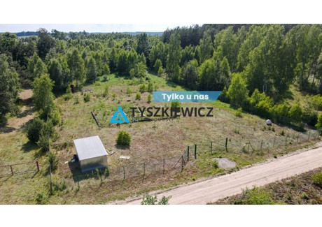 Działka na sprzedaż - Brzozowa Frank, Kaliska, Starogardzki, 3543 m², 250 000 PLN, NET-TY110450