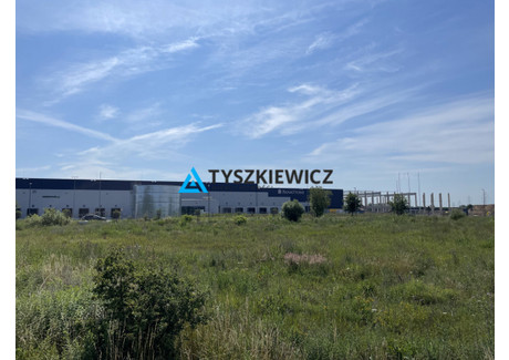 Działka na sprzedaż - Tama Pędzichowska Przejazdowo, Pruszcz Gdański, Gdański, 11 833 m², 3 900 000 PLN, NET-TY403352