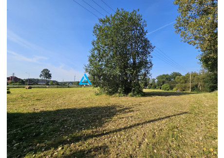 Działka na sprzedaż - Dąbie, Bytów, Bytowski, 16 000 m², 1 299 000 PLN, NET-TY937338