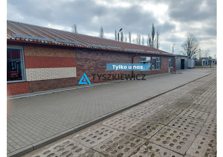 Lokal usługowy do wynajęcia - Feliksa Nowowiejskiego Pruszcz Gdański, Gdański, 330,77 m², 19 000 PLN, NET-TY188857