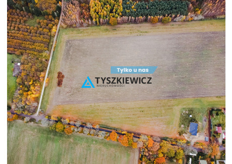 Działka na sprzedaż - Turystyczna Szczenurze, Wicko, Lęborski, 3805 m², 304 400 PLN, NET-TY117534