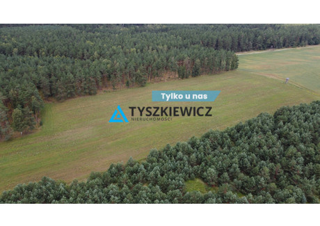 Działka na sprzedaż - Brzezinka, Czarna Dąbrówka, Bytowski, 35 700 m², 170 000 PLN, NET-TY939086