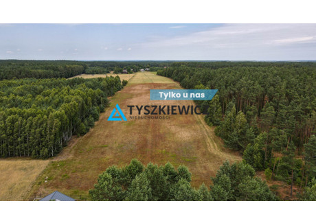 Działka na sprzedaż - Strych, Kaliska, Starogardzki, 35 000 m², 875 000 PLN, NET-TY586046