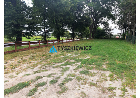 Działka do wynajęcia - Sucumin, Starogard Gdański, Starogardzki, 1000 m², 1000 PLN, NET-TY312922