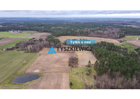 Działka na sprzedaż - Brzozowa Dąbrówka, Luzino, Wejherowski, 9543 m², 996 000 PLN, NET-TY749620