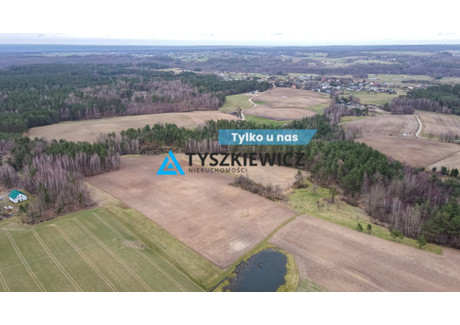 Działka na sprzedaż - Brzozowa Dąbrówka, Luzino, Wejherowski, 10 104 m², 1 055 000 PLN, NET-TY735167