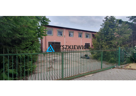 Hala do wynajęcia - Ignacego Łukasiewicza Pruszcz Gdański, Gdański, 550 m², 11 000 PLN, NET-TY256389