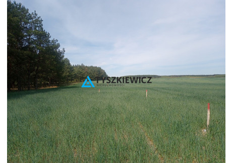 Działka na sprzedaż - Dąbrowa, Kaliska, Starogardzki, 1030 m², 138 900 PLN, NET-TY376819