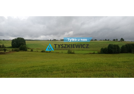 Działka na sprzedaż - Liniewo, Kościerski, 11 519 m², 150 000 PLN, NET-TY617428