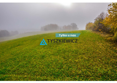 Działka na sprzedaż - Liniewo, Kościerski, 11 519 m², 150 000 PLN, NET-TY617428