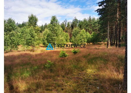 Działka na sprzedaż - Wygonin, Stara Kiszewa, Kościerski, 2092 m², 290 000 PLN, NET-TY419223