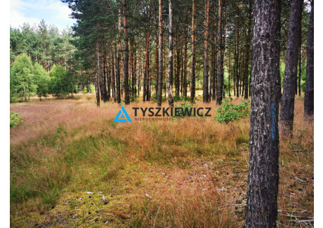 Działka na sprzedaż - Wygonin, Stara Kiszewa, Kościerski, 2092 m², 290 000 PLN, NET-TY419223