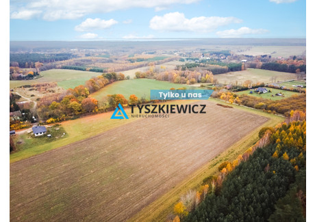 Działka na sprzedaż - Szczenurze, Wicko, Lęborski, 3238 m², 260 000 PLN, NET-TY659828