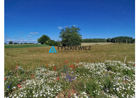 Działka na sprzedaż - Druha Józefa Grzybka Starogard Gdański, Starogardzki, 3829 m², 330 000 PLN, NET-TY833810