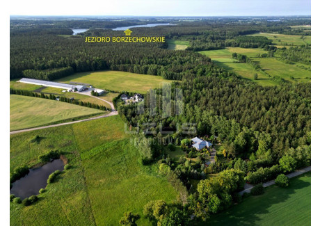 Działka na sprzedaż - Bietowo, Lubichowo, Starogardzki, 3000 m², 210 000 PLN, NET-1905/9862/OGS