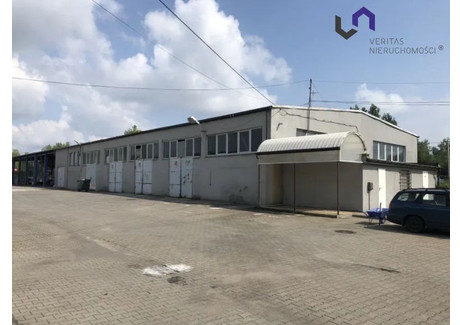 Magazyn do wynajęcia - Radzionków, Tarnogórski, 240 m², 4800 PLN, NET-VTS-HW-6990