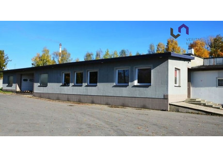 Fabryka, zakład na sprzedaż - Lędziny, Bieruńsko-Lędziński, 1721 m², 2 753 600 PLN, NET-VTS-BS-4894