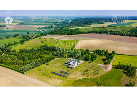 Dom na sprzedaż - Baldram, Kwidzyn, Kwidzyński, 651 m², 5 490 000 PLN, NET-WH831028