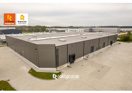 Magazyn do wynajęcia - Kokoszki, Gdańsk, 5000 m², 145 000 PLN, NET-R-440610