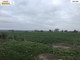Rolny na sprzedaż - Karwowo, Kołbaskowo, Policki, 2800 m², 238 000 PLN, NET-3525/7376/OGS