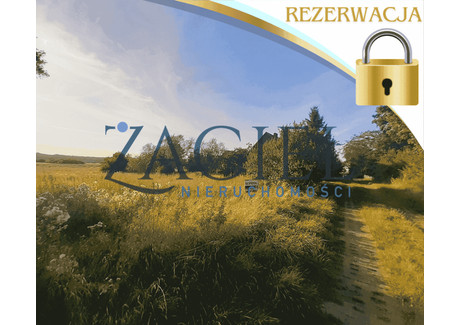 Działka na sprzedaż - Jeżyce, Darłowo (Gm.), Sławieński (Pow.), 10 700 m², 55 000 PLN, NET-ZAG04740