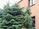 Dom na sprzedaż - Gumieńce, Szczecin, 290 m², 2 000 000 PLN, NET-FKT24376