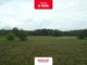 Rolny na sprzedaż - Reptowo, Kobylanka, Stargardzki, 45 229 m², 720 000 PLN, NET-BON37277