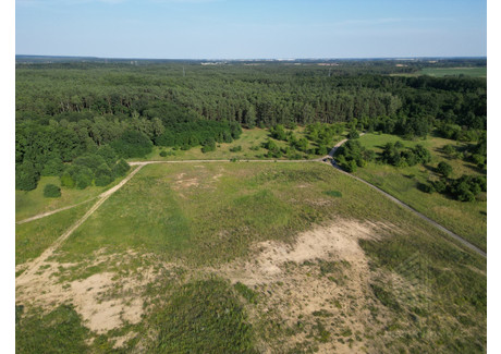 Działka na sprzedaż - Daleszewo, Gryfino, Gryfiński, 42 300 m², 5 287 500 PLN, NET-SWN31876