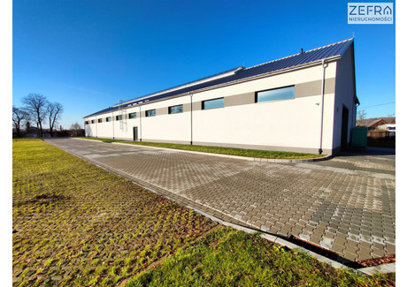 Magazyn do wynajęcia - Brzezie, Zabierzów, Krakowski, 1138 m², 40 000 PLN, NET-ZEF-HW-769