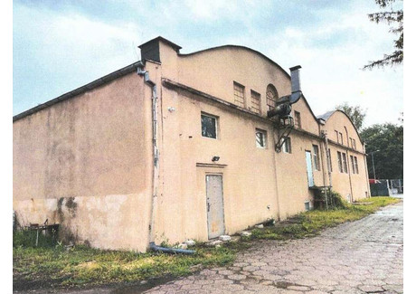 Magazyn na sprzedaż - Ludwika Waryńskiego Grudziądz, kujawsko-pomorskie, 1324 m², 388 092 PLN, NET-gratka-35130519