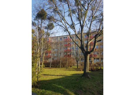 Mieszkanie na sprzedaż - os. Pod Lipami Winogrady, Poznań, wielkopolskie, 47,6 m², 495 700 PLN, NET-gratka-33441347